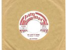 THE SPUTNIKS My Love Is Gone PAM MAR RARE DOO WOP 45