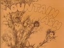 Mountain Ash Moments KRAUT NEAR MINT No Fun Records Vinyl LP