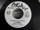 The Triumphs - I'm Coming To Your Rescue - Okeh Demo