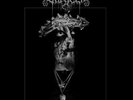 Sargeist - Disciple of the Heinous Path LP
