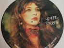 Kate Bush Picture Disc Interview Limited Edition 12