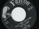 Falcons 45 My Only Love/Now That It's Over FALCON VG+ orig DOO WOP R&B