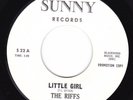 Doo Wop Teen 45 - RIFFS - Little Girl / Why Are The Nights So Cold?