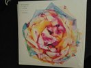 Walking On Cars Colours Vinyl LP Neu 2019