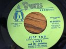 Diane & the Darlettes 45 Record The Wobble, Just You Dunes Records