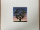 Talk Talk - Laughing Stock - Vinyl LP - 1991 - Original - EU UK VERVE 847 717-1