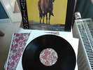 MELVINS     original edition Vinyl LP      Lysol (1992)