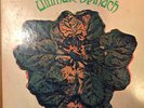 Extremely rare ULTIMATE SPINACH 1st - Mono Vinyl - White Label Promo E-4518