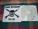 Teenage Bottlerocket - Stay Rad Tour Color Vinyl LP | fat wreck chords TBR