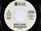 70s Soul 45 - Wilson Williams - Groovy Feelin' - ABC - VG+ mp3 - promo