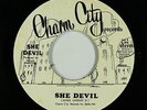 Funk Disco 45 - She Devil - She Devil - Charm City - VG++ mp3