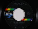 Crossover Soul/Funk 45 - Calvin Arnold - After The Love Has Gone - SS7 - mp3