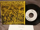 Insect Warfare at war with grindcore 7