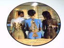 PINK FLOYD - RARE BEAUTIES - LP VINYL PICTURE DISC RARE ALBUM V100