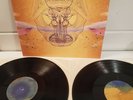 Devendra Banhart - What Will We Be - Vinyl Record LP