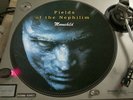 Fields of the Nephilim - Moonchild  12