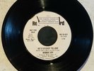 RODDIE JOY The La La Song + He's So Easy To Love RED BIRD 7