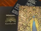 The Bluetones - Expecting To Fly Original Vinyl LP - 90s Britpop very good 