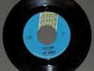 THE SONICS Psycho/Maintaining My Cool 1967 Jerden 811 garage punk NW rock 45 V+