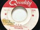 GARAGE PUNK The Haunted 1-2-5 Quality 45 very rare KILLER Canadian 'Hunted'