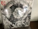 Thee Oh  Sees Dog Poison  NEW-Vinyl