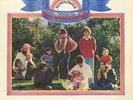 BEACH BOYS - SUNFLOWER - 12