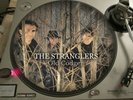 The Stranglers ?– Old Codger  12