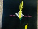 Flesh Eaters Forever Came Today Vinyl LP Ruby Records 1982 Punk Rock Chris D