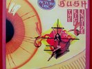 Kate Bush – The Kick Inside – Limited Edition 1979 UK Picture Disc - EMCP 3223
