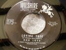 Bob Loye - Loving Tree/Another Mr. Blue 45 Wilshire 202 teen/doo wop VG+
