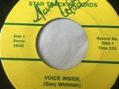 Rare Ohio Unknown Folk Psych Rock 45/ Gary Whitman 