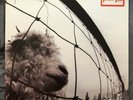 PEARL JAM VS. LP Record Vedder VINYL 1993 ORIGINAL PRESSING MADE IN HOLLAND