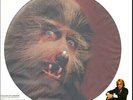 WARREN ZEVON WEREWOLVES OF LONDON RARE Vinyl Record Picture Disc