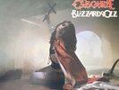 Ozzy Osborne Vinyl - Blizzard of Ozz & Diary of a Madman w/ lyrics insert