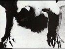 SACCHARINE TRUST - PAGAN ICONS NEW VINYL