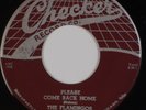 THE FLAMINGOS: Please Come Back Home ’55 Checker Doo Wop Orig 45 Hear