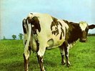 Pink Floyd(Vinyl LP Gatefold)Atom Heart Mother-Harvest-SHVL781-UK-1970--VG/Ex-