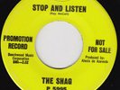 THE SHAG Stop And Listen RARE US garage 45 FUZZ PUNKER  superb  mod dancer HEAR