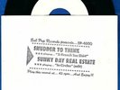 Sunny Day Real Estate/Shudder to Think 