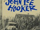 The Country Blues Of John Lee Hooker (180GV) LP