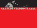 CAETANO VELOSO: TRANSA -HQ/LTD/REISSUE [LP vinyl]