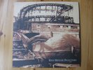 Red House Painters „Rollercoaster“-Doppel-LP – 1st Pressing 1993 – ex/ex-