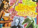 Hoodoo Gurus Purity Of Essence reissue RED vinyl 2 LP NEW/SEALED