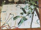 THE BEAT OF THE EARTH 1967 ACID PSYCHEDELIC GARAGE MONSTER LP NEAR MINT RADISH