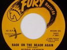 BUDDY SKIPPER: Back On The Beach Again ’61 FURY R&B Rock & Roll 45 NM