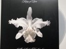 Kings of Leon - Aha Shake Heartbreak  10” Record UK