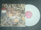 The stone roses  re 12
