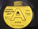 Ray King Soul Band - Behold / Soon You’ll Be Gone 1967 UK PICCADILLY *PROMO* SKA