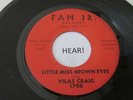 VILAS CRAIG '62 Wisconsin Garage 45RPM Little Miss Brown Eyes DAN JR 1706 VG MP3