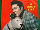 Elvis Presley/A Dogs Life LP Audifon German Nm